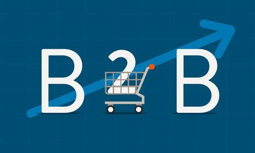 B2B網(wǎng)站源碼如何選擇與優(yōu)化？