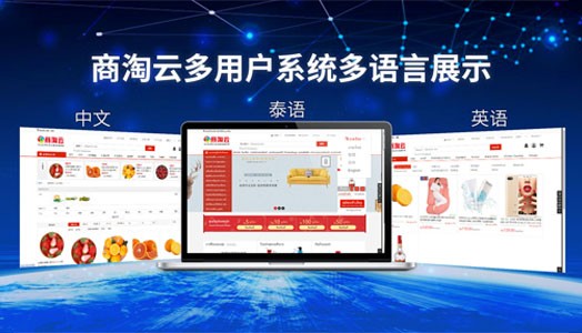 越南企業(yè)尋求高效電商平臺(tái)系統(tǒng)？商淘云提供專業(yè)解決方案